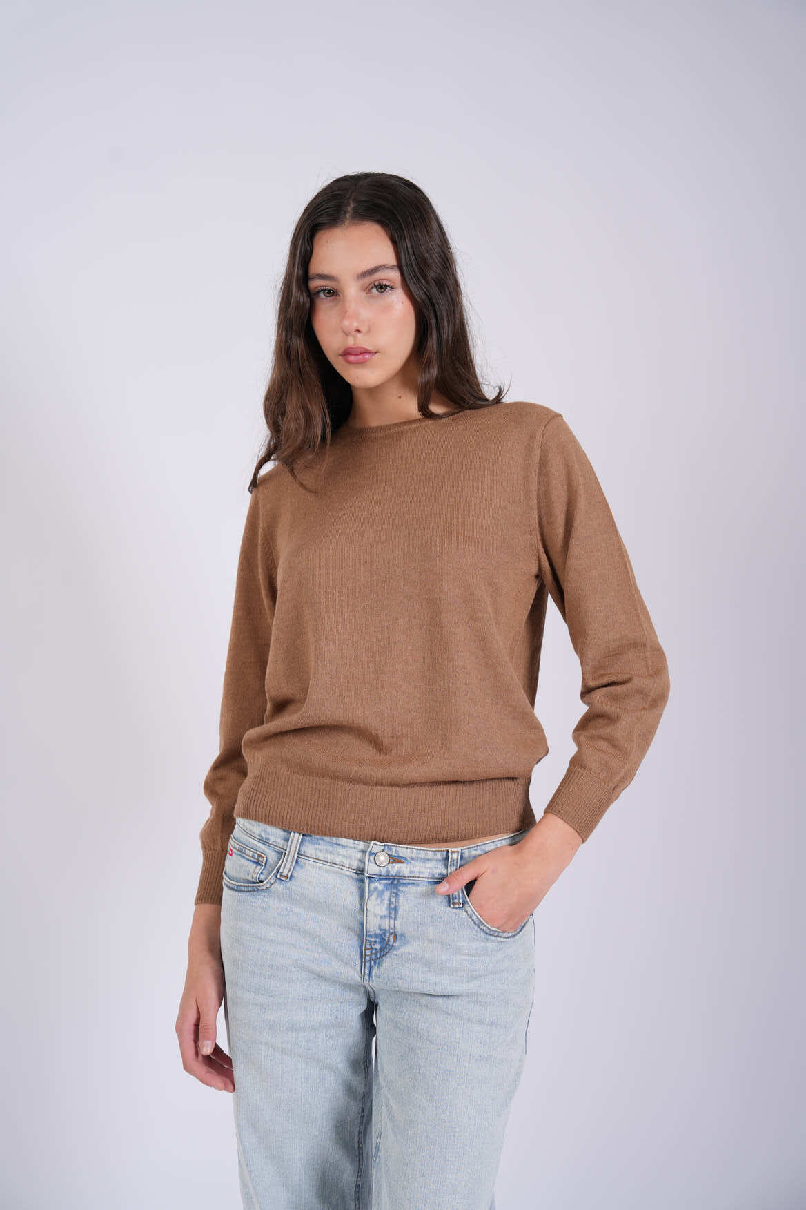 Basic Womens Crewneck Sweater
